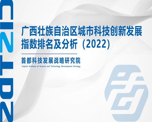 东北老女人bb【成果发布】广西壮族自治区城市科技创新发展指数排名及分析（2022）